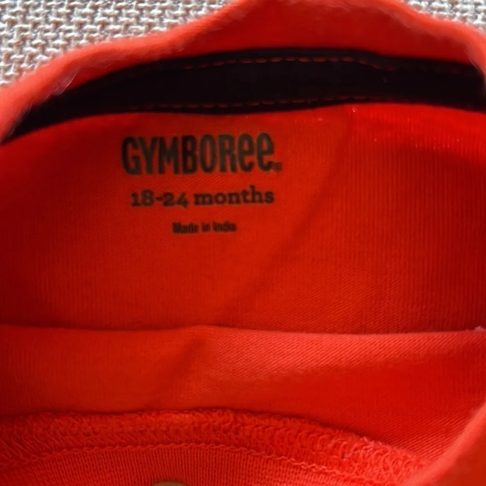 Gymboree long sleeve graphic tee Size 18-24m